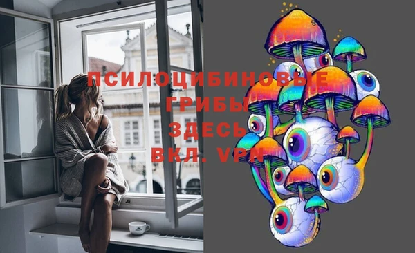 герыч Алексин