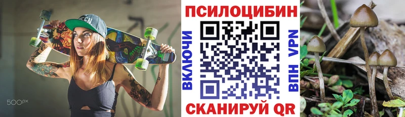 Псилоцибиновые грибы ЛСД  МЕГА сайт  Нефтегорск  как найти закладки 